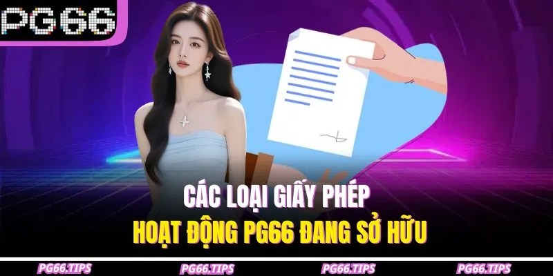 Các loại giấy phép hoạt động PG66 đang sở hữu